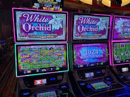 Dasbor MLBB bandot slot dengan jadwal pertandingan dan tim pemain